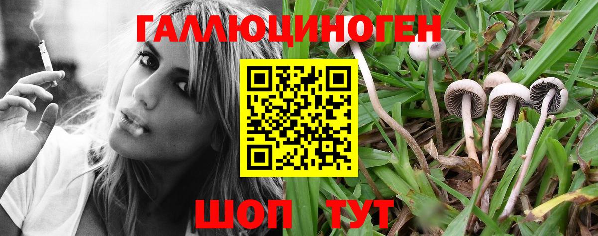 Галлюциногенные грибы мухоморы  Вход с VPN  Фролово  купить наркоту  Псилоцибиновые грибы MAGIC MUSHROOMS 